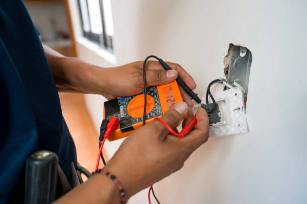 Best Electrical System Inspection  in Ithaca, MI