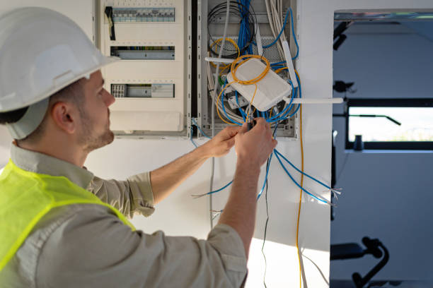 Best Home Electrical Repair  in Ithaca, MI